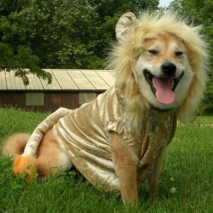 Meet your Posher, Jaymie